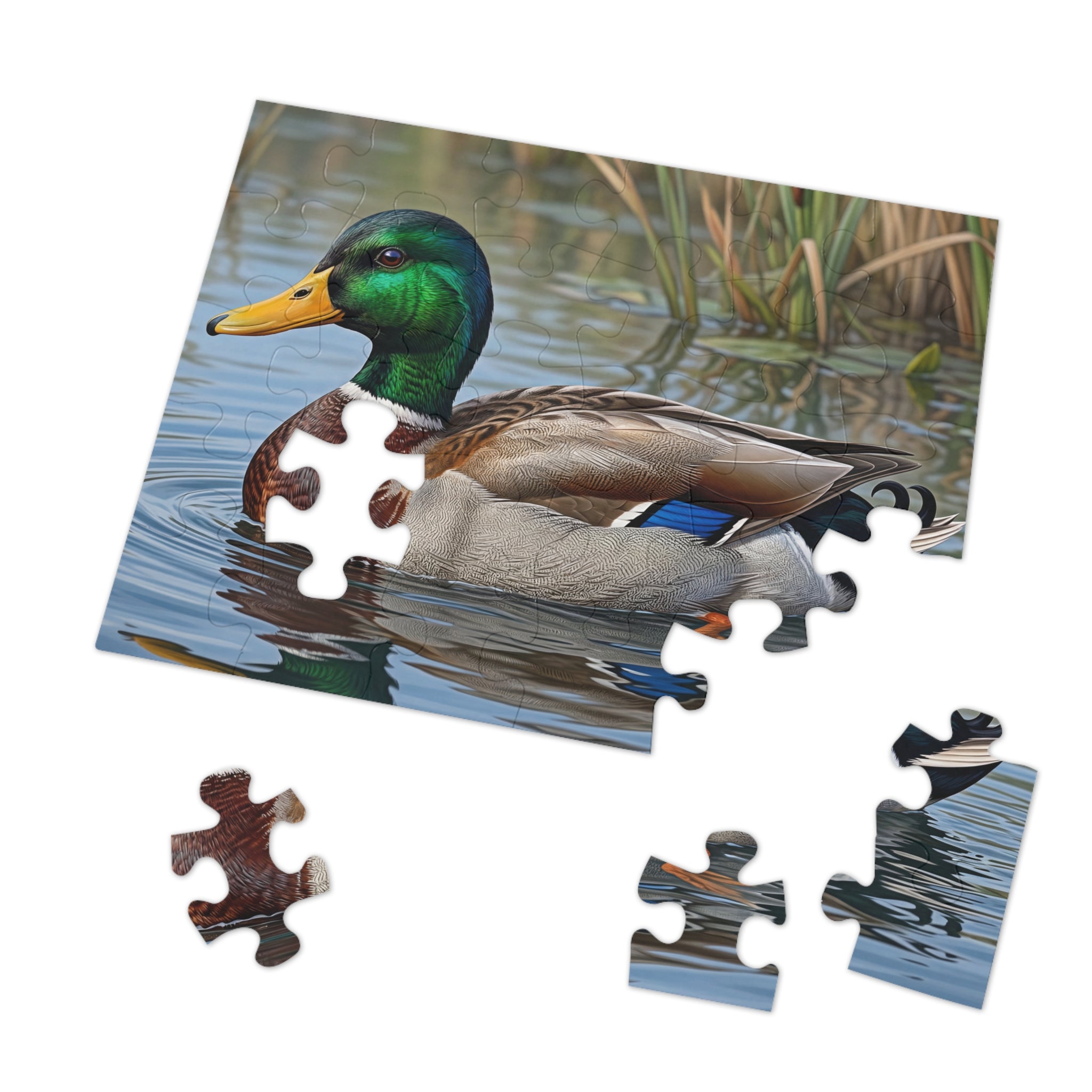 Mallard Duck Jigsaw Puzzle with Tin — Realistic Waterfowl Puzzle Gift