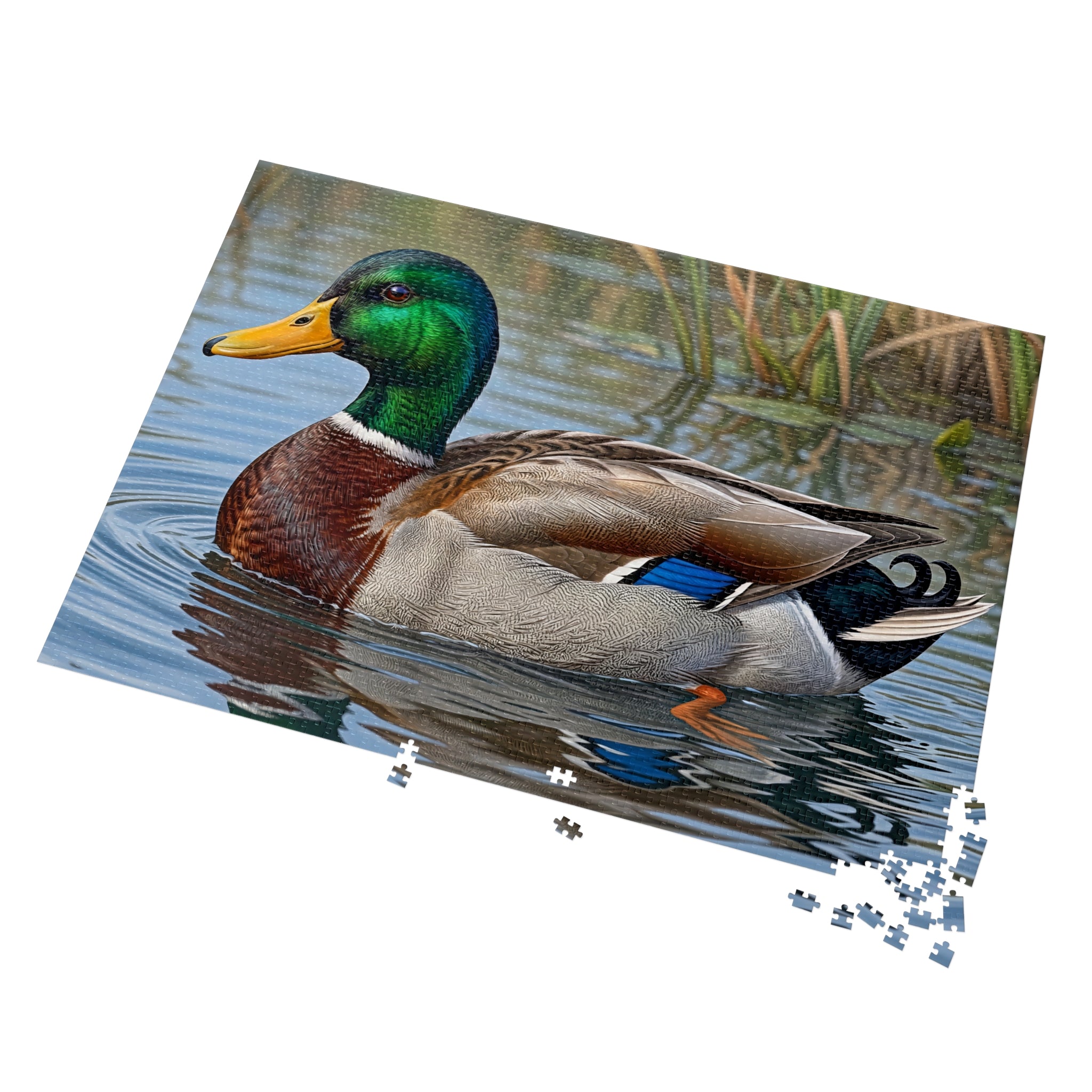 Mallard Duck Jigsaw Puzzle with Tin — Realistic Waterfowl Puzzle Gift