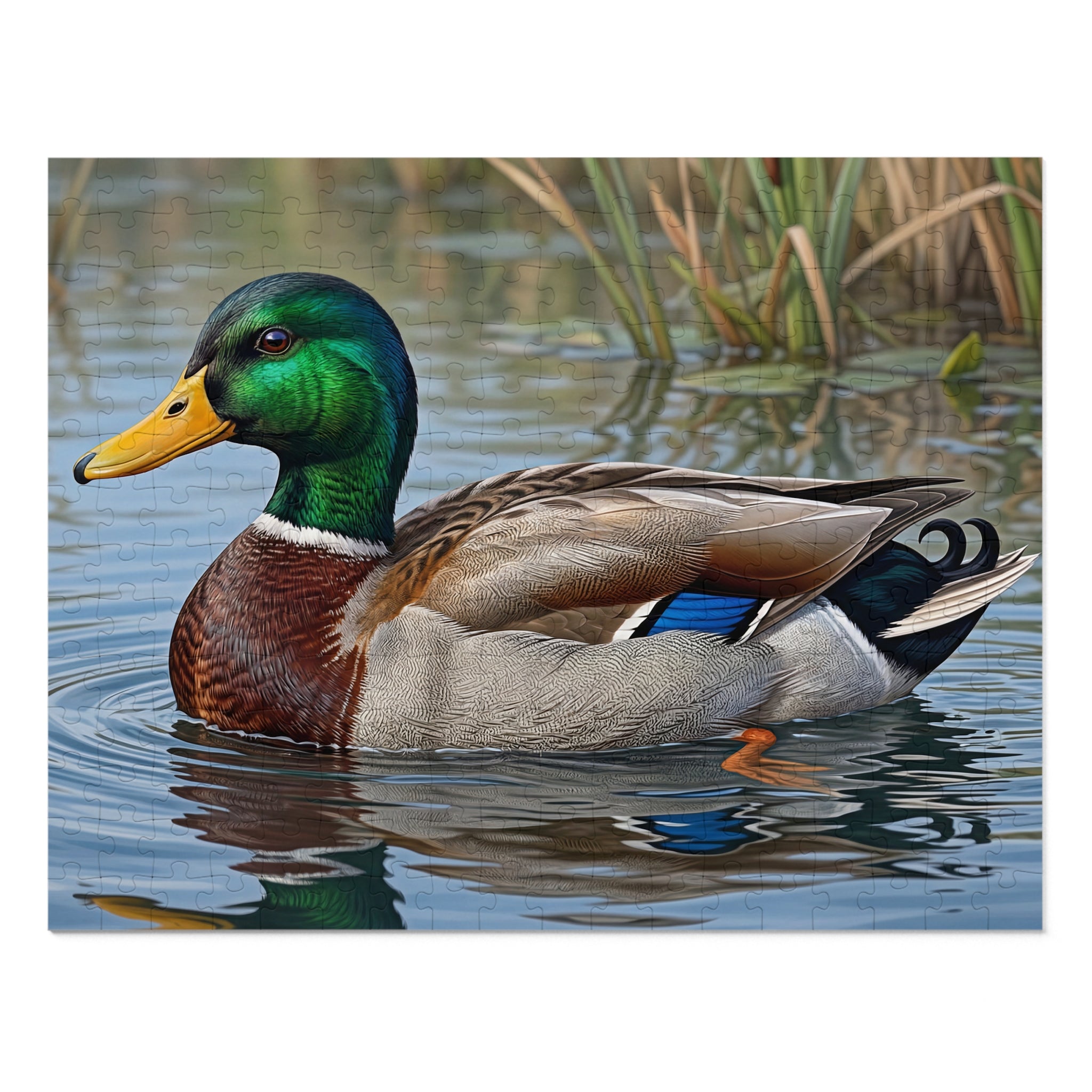 Mallard Duck Jigsaw Puzzle with Tin — Realistic Waterfowl Puzzle Gift