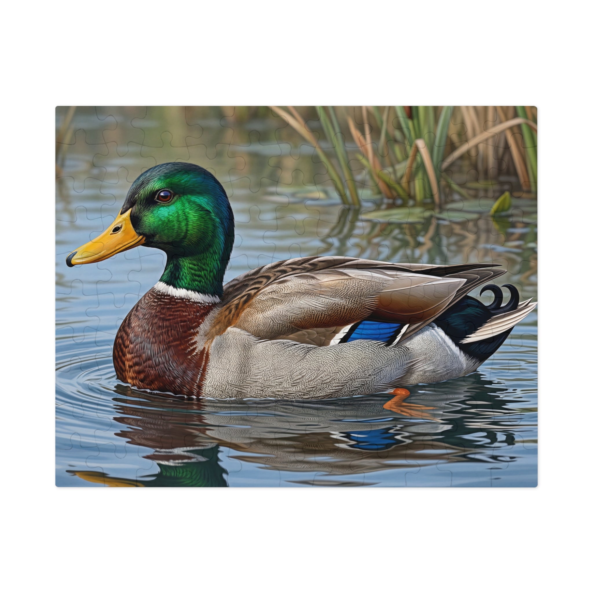 Mallard Duck Jigsaw Puzzle with Tin — Realistic Waterfowl Puzzle Gift