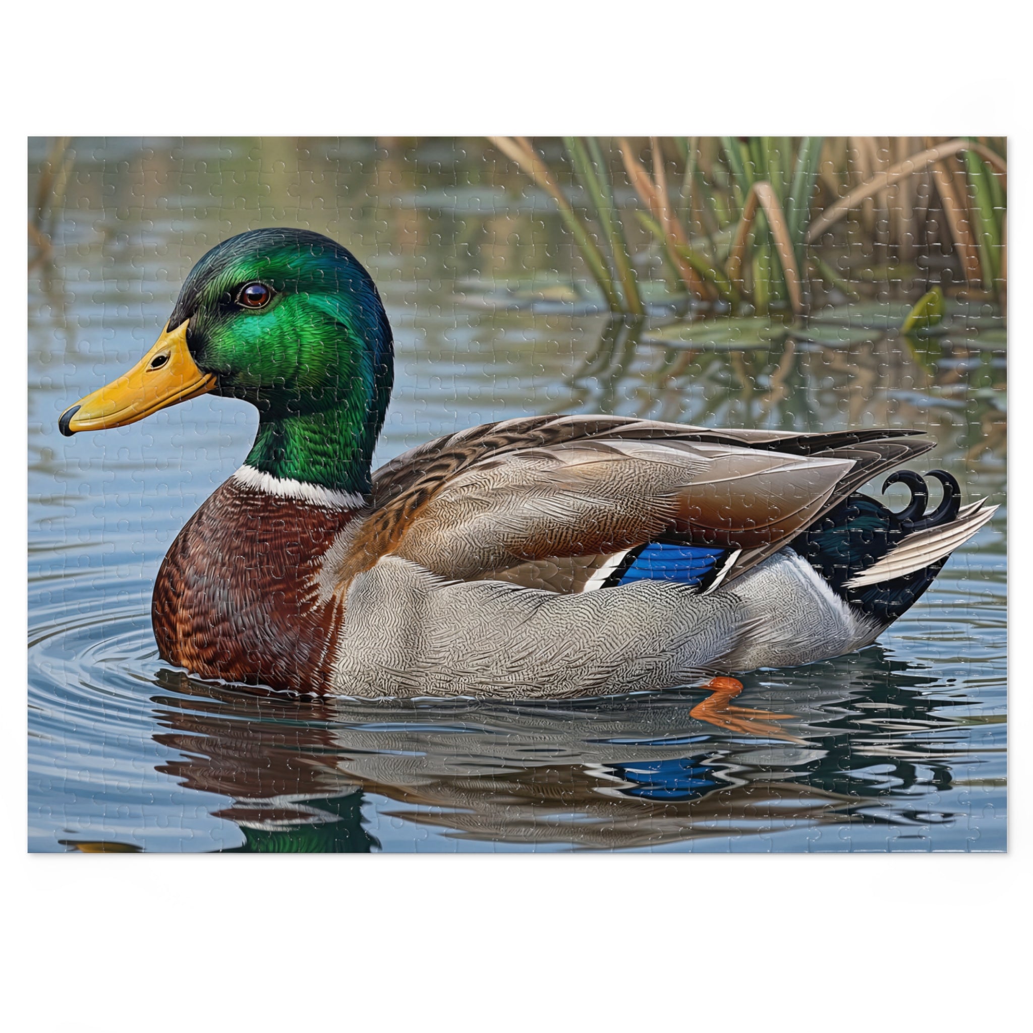 Mallard Duck Jigsaw Puzzle with Tin — Realistic Waterfowl Puzzle Gift