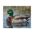Mallard Duck Jigsaw Puzzle with Tin — Realistic Waterfowl Puzzle Gift
