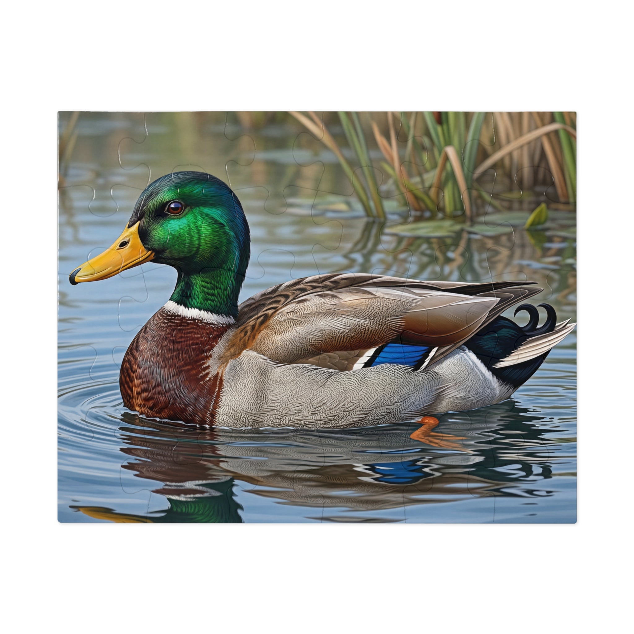 Mallard Duck Jigsaw Puzzle with Tin — Realistic Waterfowl Puzzle Gift