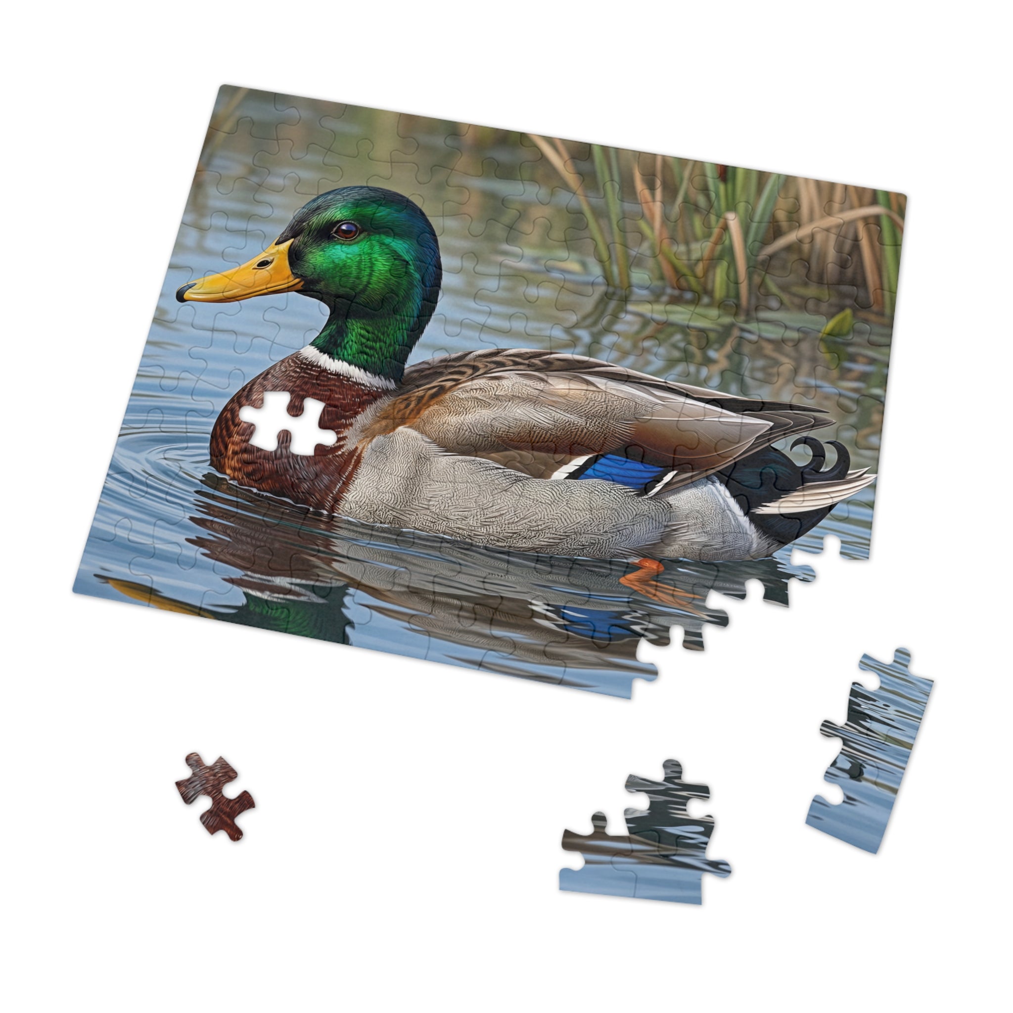 Mallard Duck Jigsaw Puzzle with Tin — Realistic Waterfowl Puzzle Gift