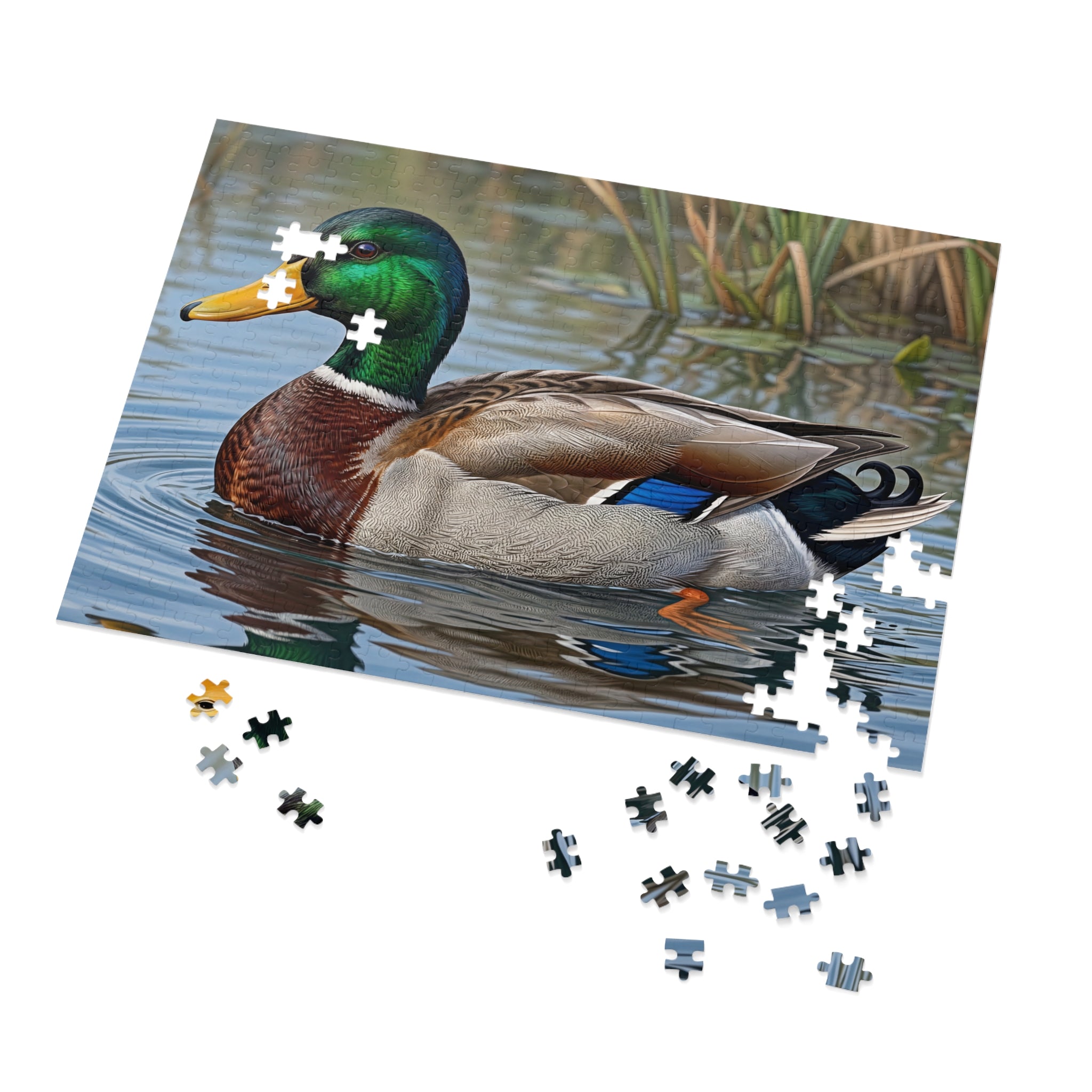 Mallard Duck Jigsaw Puzzle with Tin — Realistic Waterfowl Puzzle Gift
