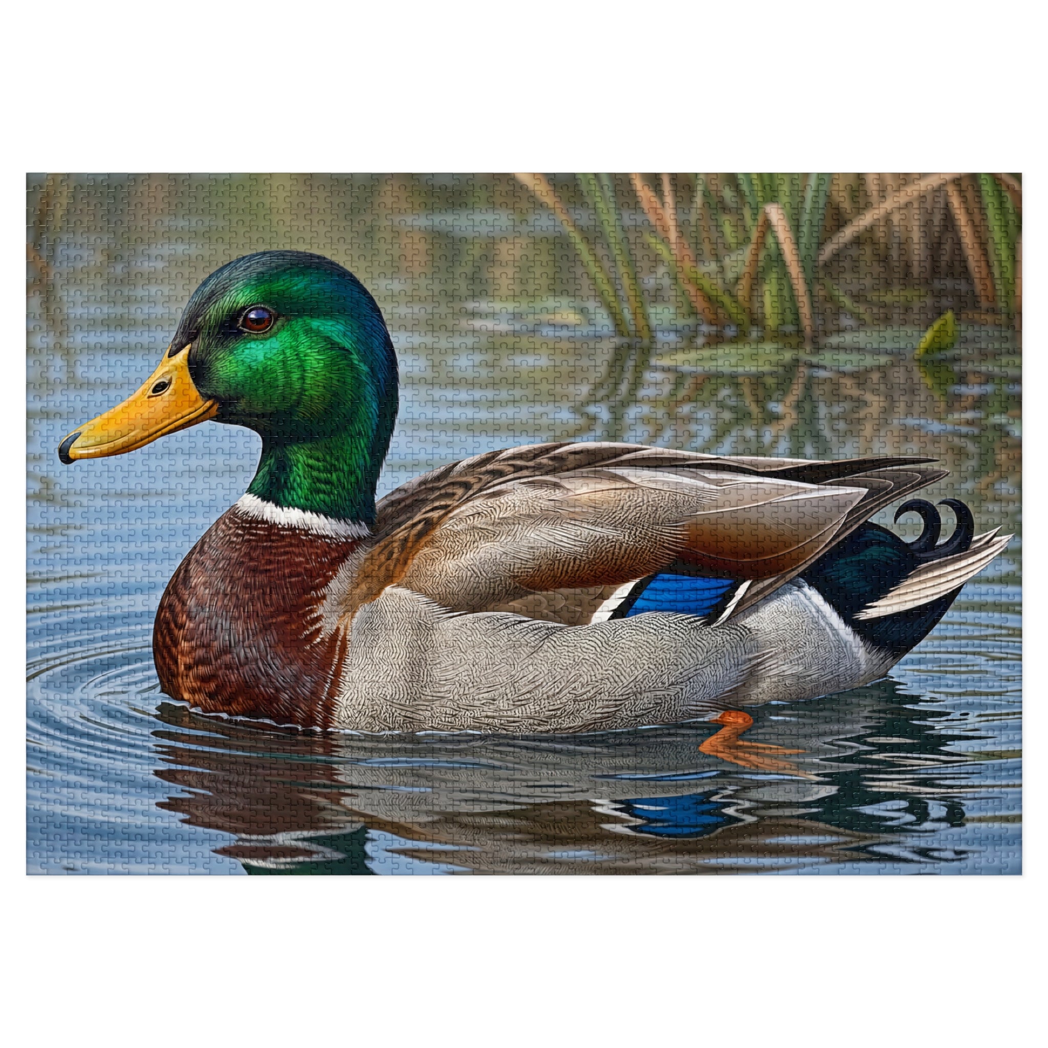 Mallard Duck Jigsaw Puzzle with Tin — Realistic Waterfowl Puzzle Gift