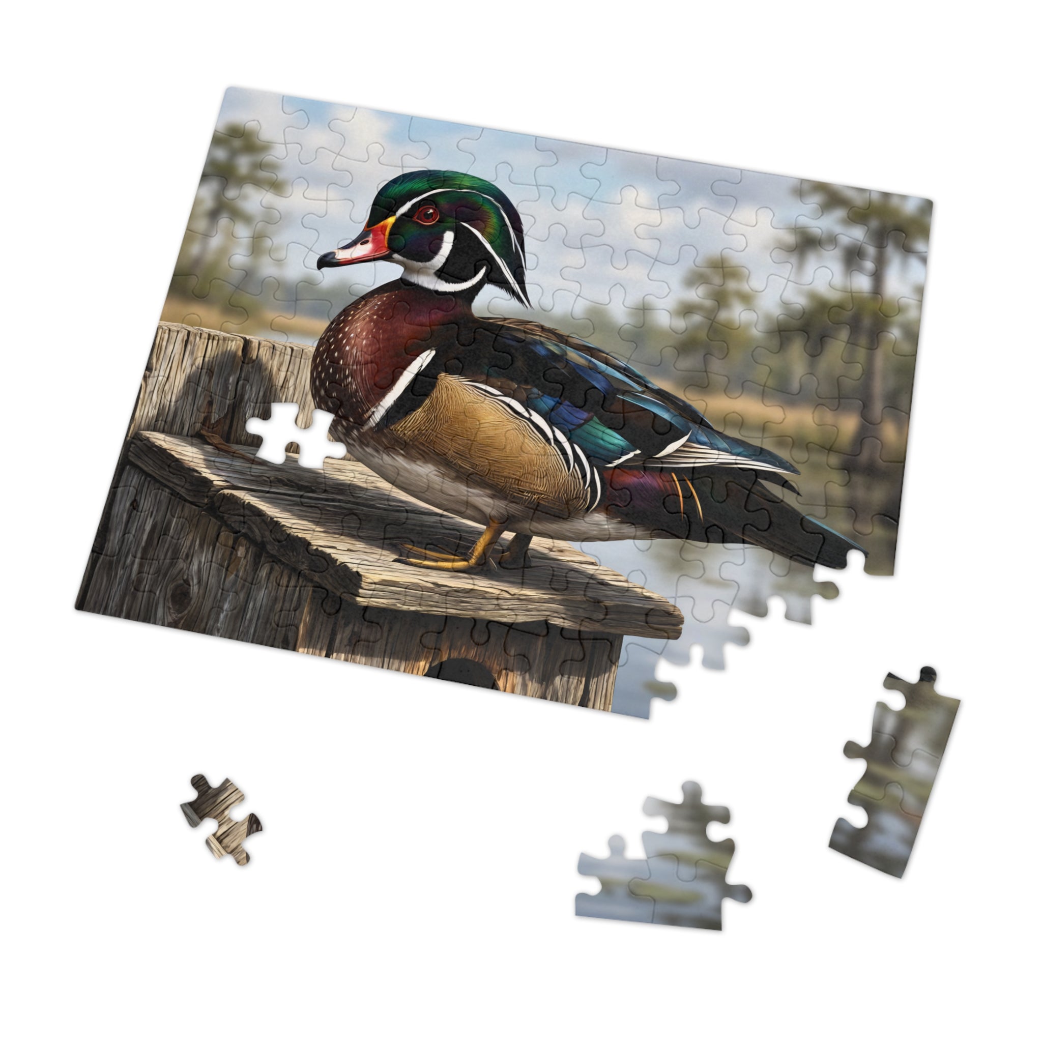 Wood Duck Jigsaw Puzzle with Tin — 500-Piece Nature Puzzle Gift